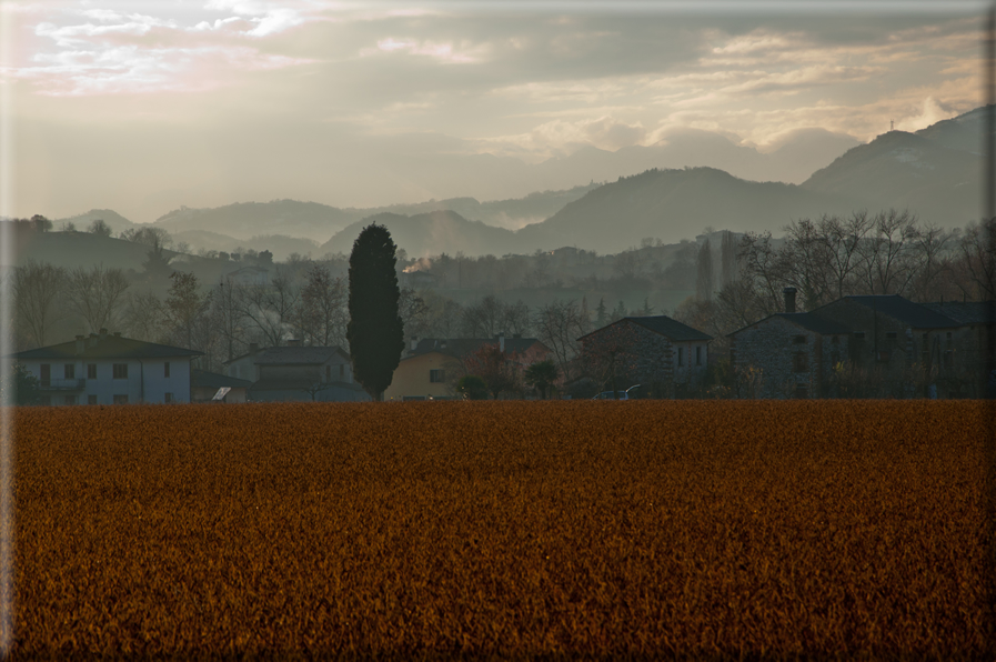 foto Pendici del Monte Grappa in Inverno